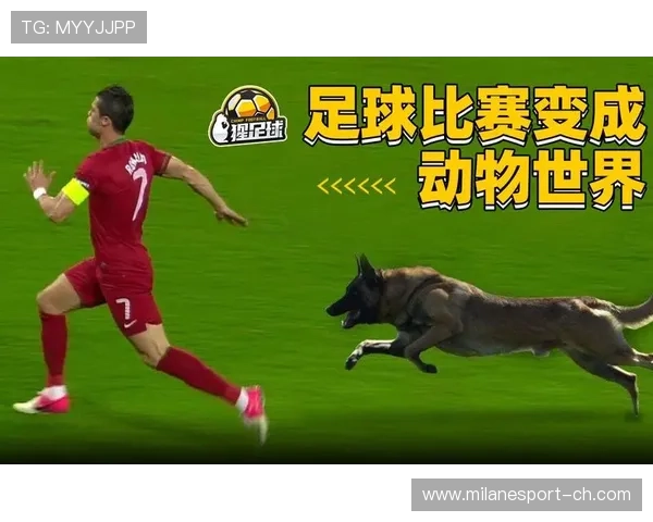 “趣味大集合：球场上的爆笑瞬间大曝光”，球赛搞笑视频